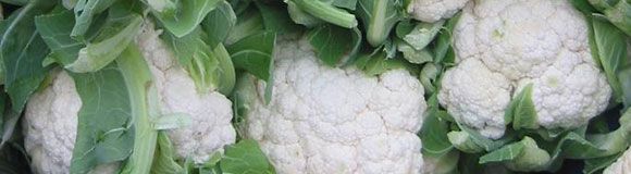 Cauliflower 